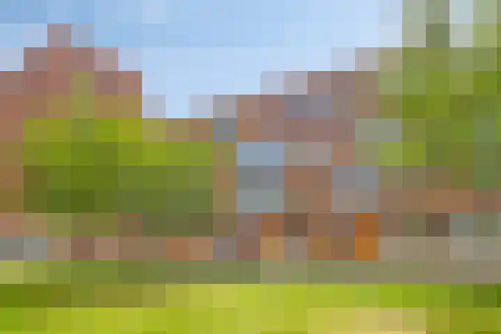 Kweekhoven 19 Amsterdam thumbnail 27