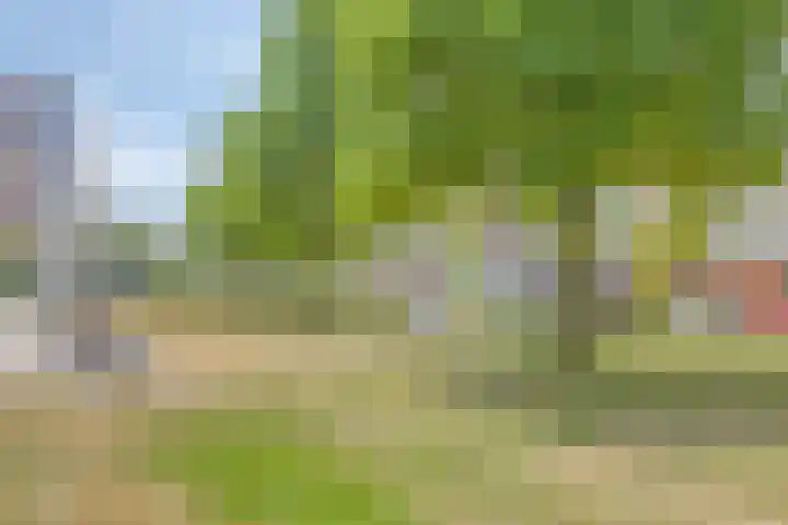 Kweekhoven 19 Amsterdam thumbnail 29