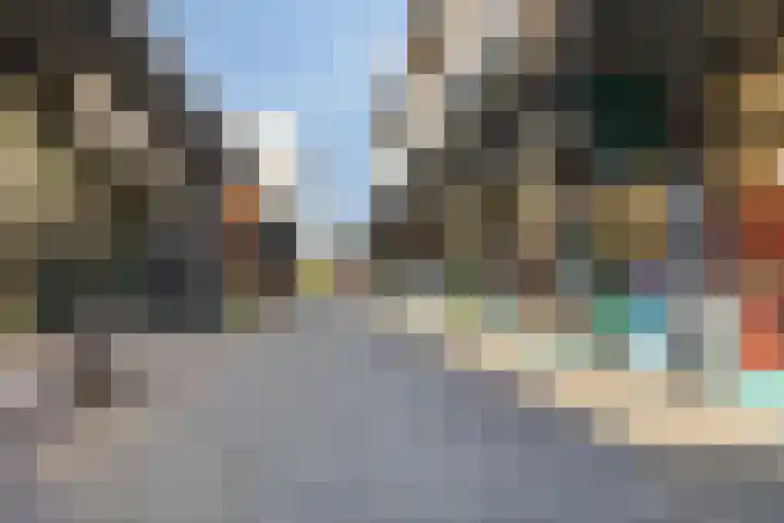 Kweekhoven 19 Amsterdam thumbnail 32