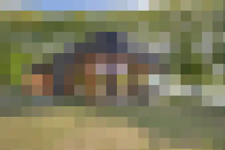 Kweekhoven 19 Amsterdam thumbnail 33