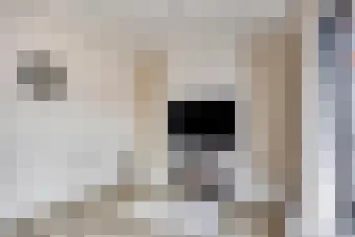 Kweekhoven 19 Amsterdam thumbnail 6