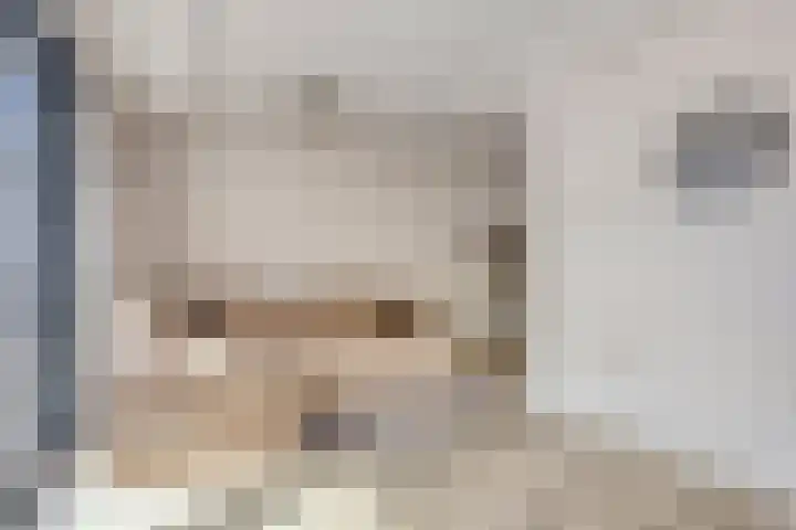 Kweekhoven 19 Amsterdam thumbnail 7