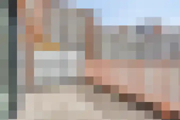 Kweekhoven 19 Amsterdam thumbnail 8