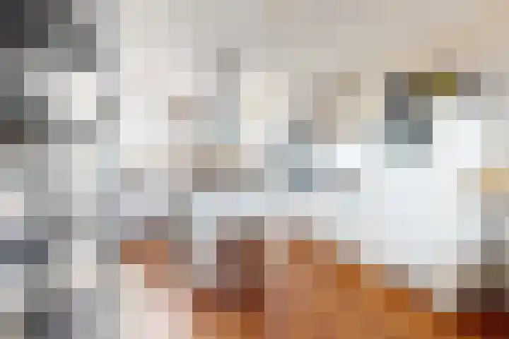 Kweeklust 19 Klundert thumbnail 20