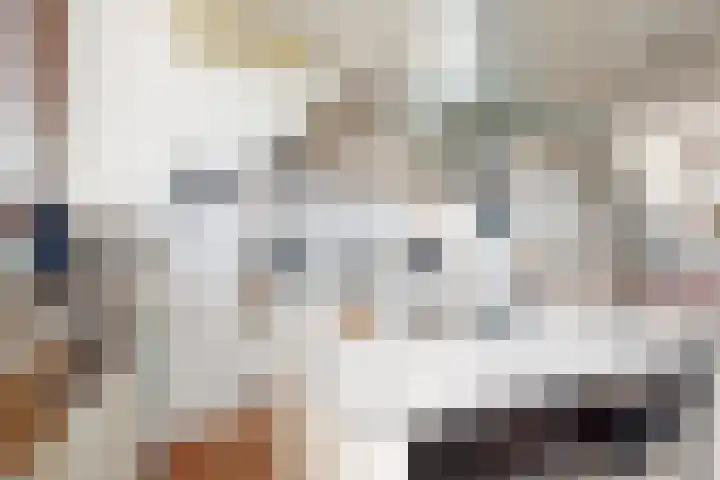 Kweeklust 19 Klundert thumbnail 22