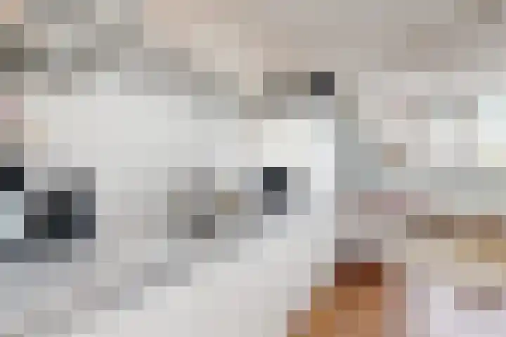 Kweeklust 19 Klundert thumbnail 24