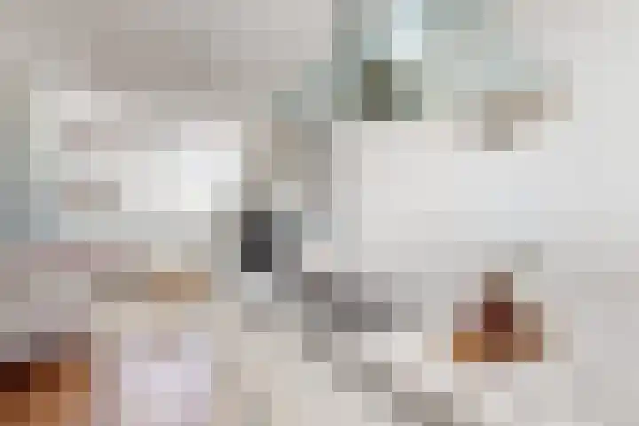 Kweeklust 19 Klundert thumbnail 25