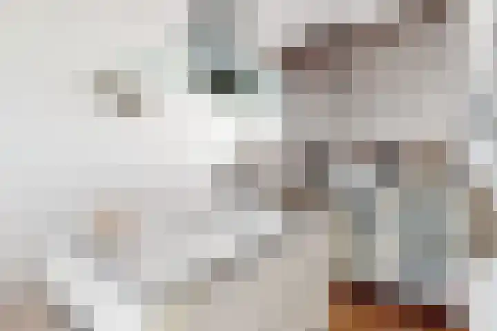 Kweeklust 19 Klundert thumbnail 26