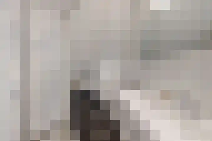 Kweeklust 19 Klundert thumbnail 32