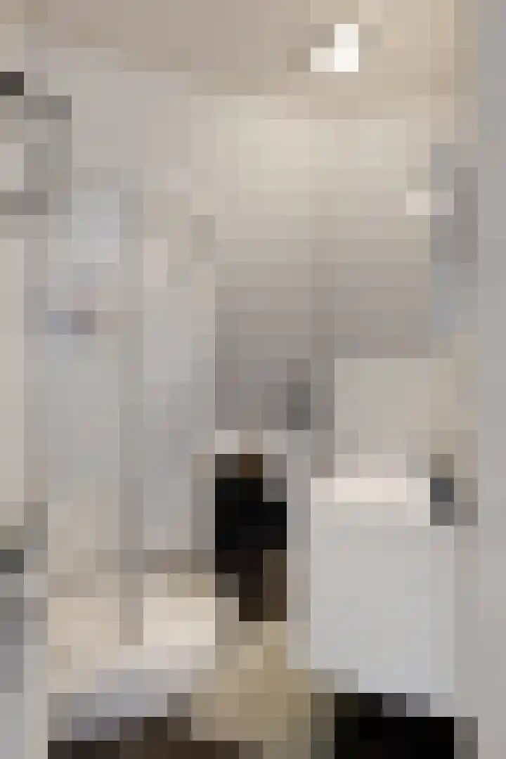 Kweeklust 19 Klundert thumbnail 33