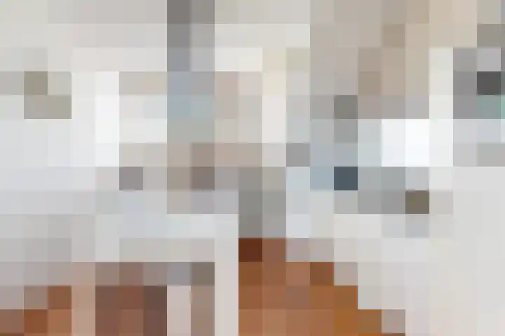 Kweeklust 19 Klundert thumbnail 4