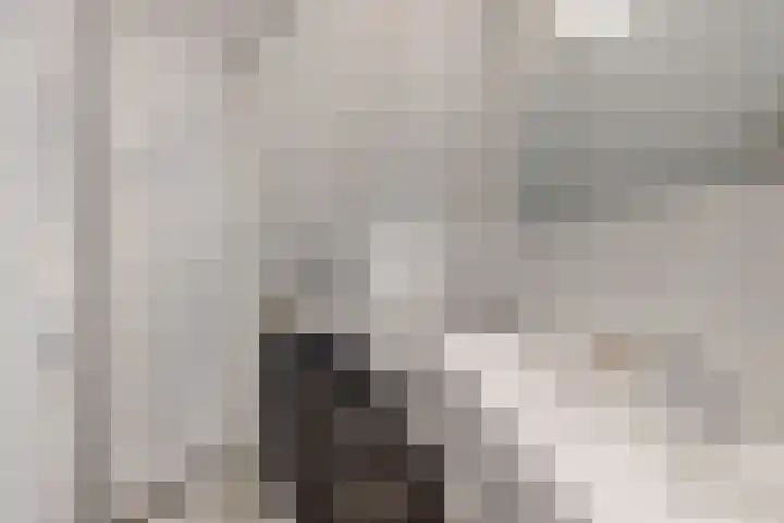 Kweeklust 19 Klundert thumbnail 6