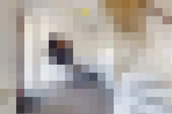Kweeklust 19 Klundert thumbnail 9