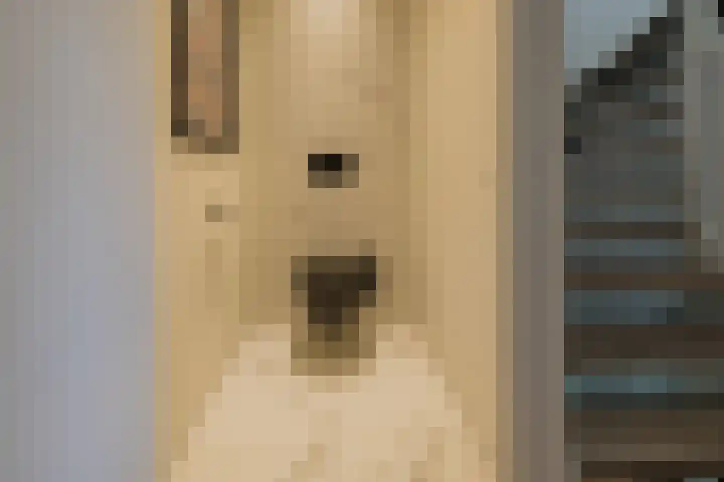Kweeklust 2 Noordwijk thumbnail 28