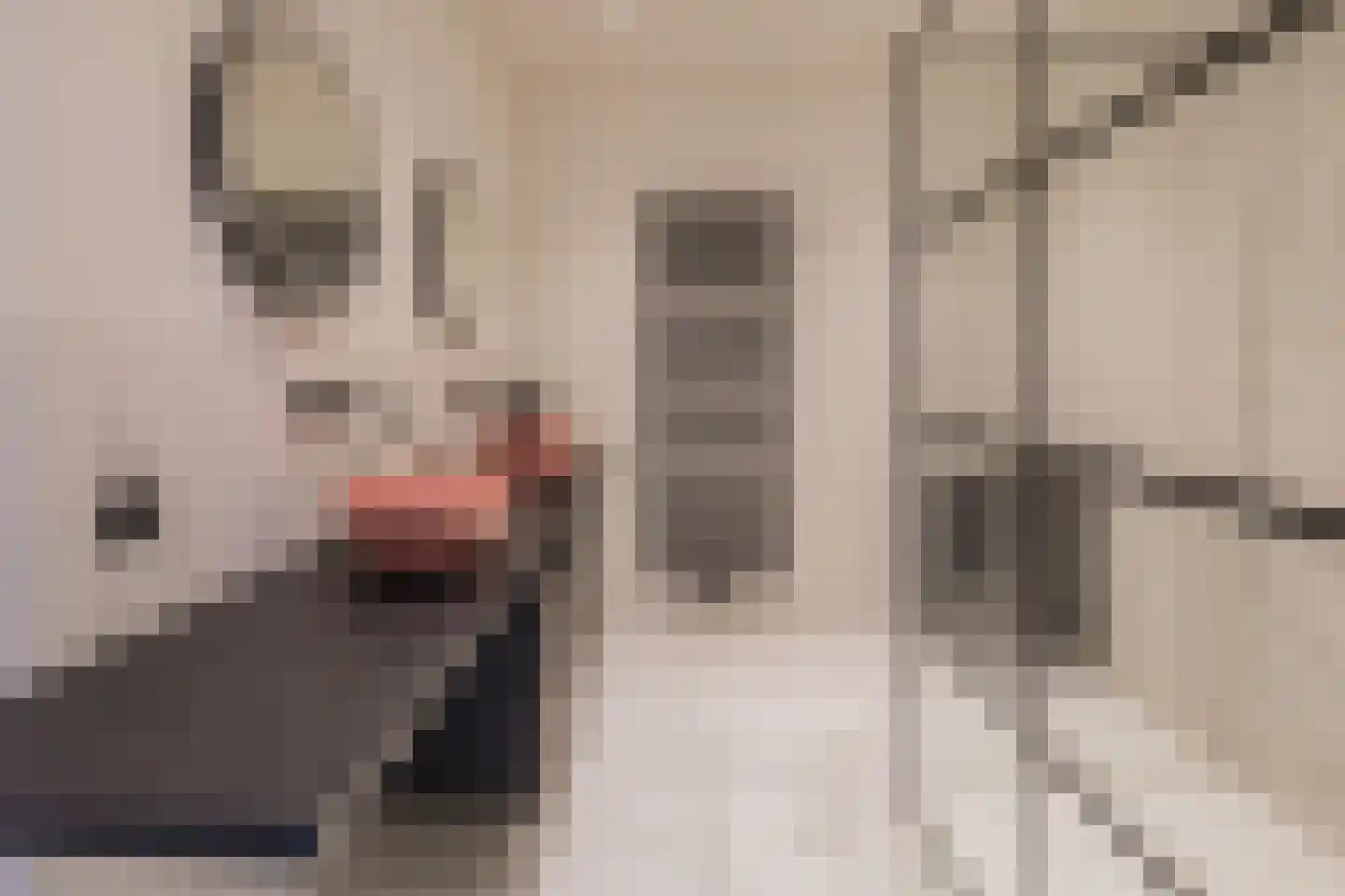 Kweeklust 2 Noordwijk thumbnail 36