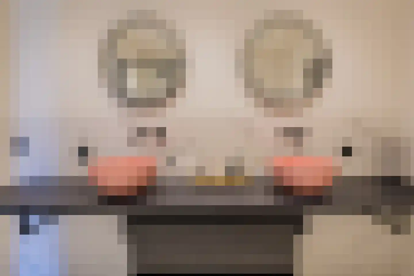 Kweeklust 2 Noordwijk thumbnail 37
