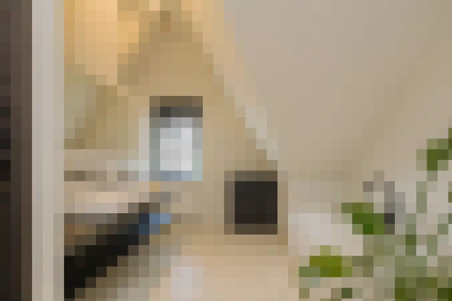 Kweeklust 2 Noordwijk thumbnail 42