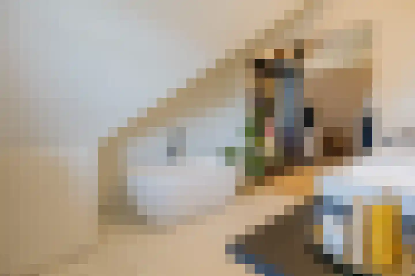Kweeklust 2 Noordwijk thumbnail 46