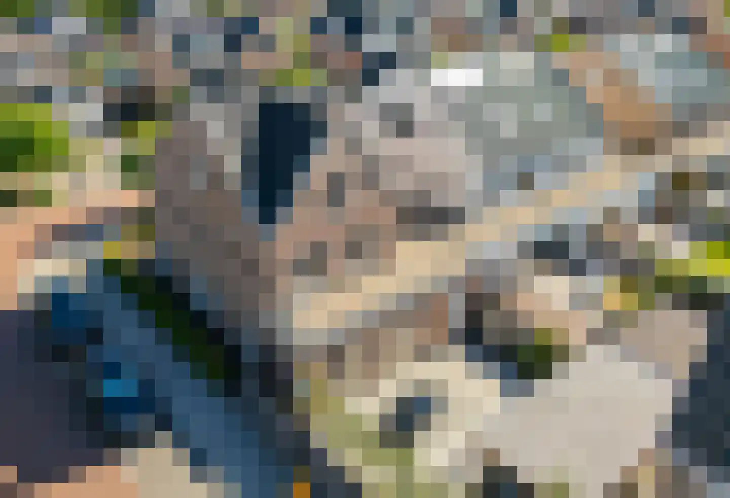 Kweeklust 2 Noordwijk thumbnail 5