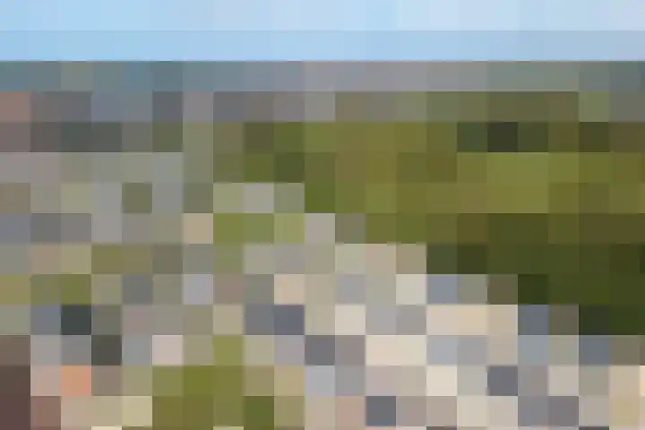 Kweeklust 51 Noordwijk thumbnail 4