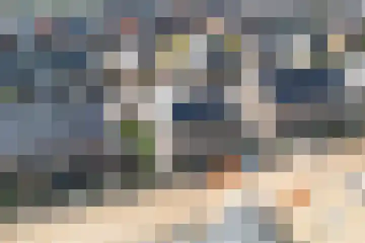 Kweeklust 51 Noordwijk thumbnail 5