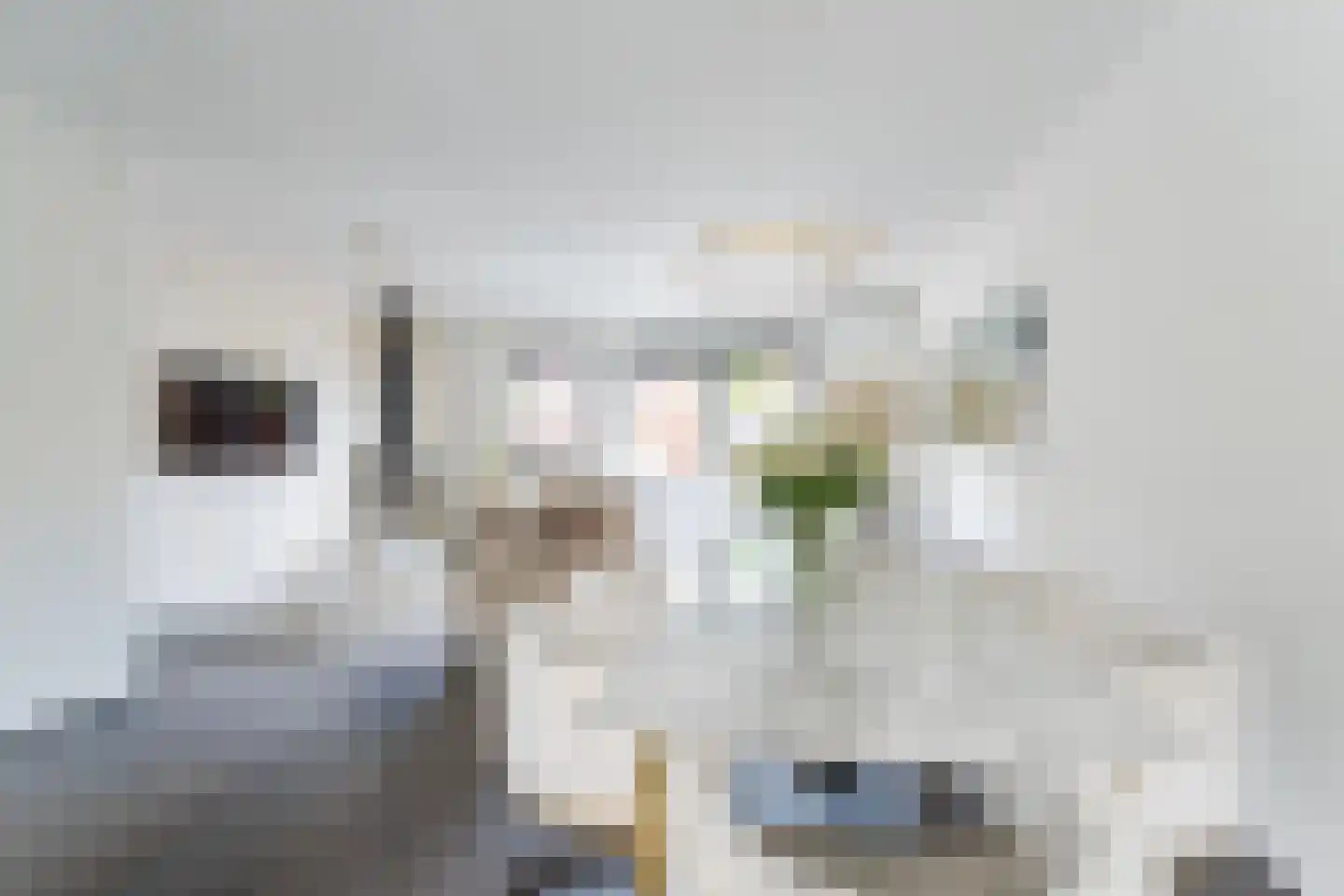 Kweektuinlaan 79 Vleuten thumbnail 35