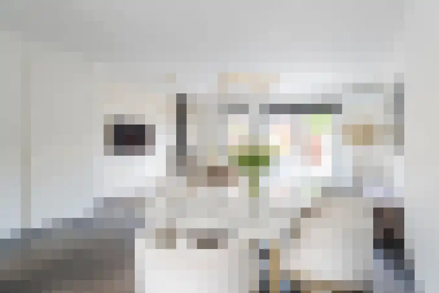 Kweektuinlaan 79 Vleuten thumbnail 36