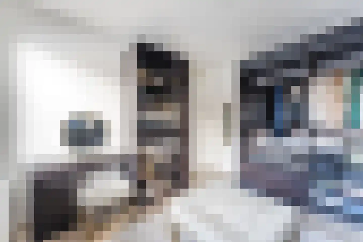 Kweektuinlaan 79 Vleuten thumbnail 44