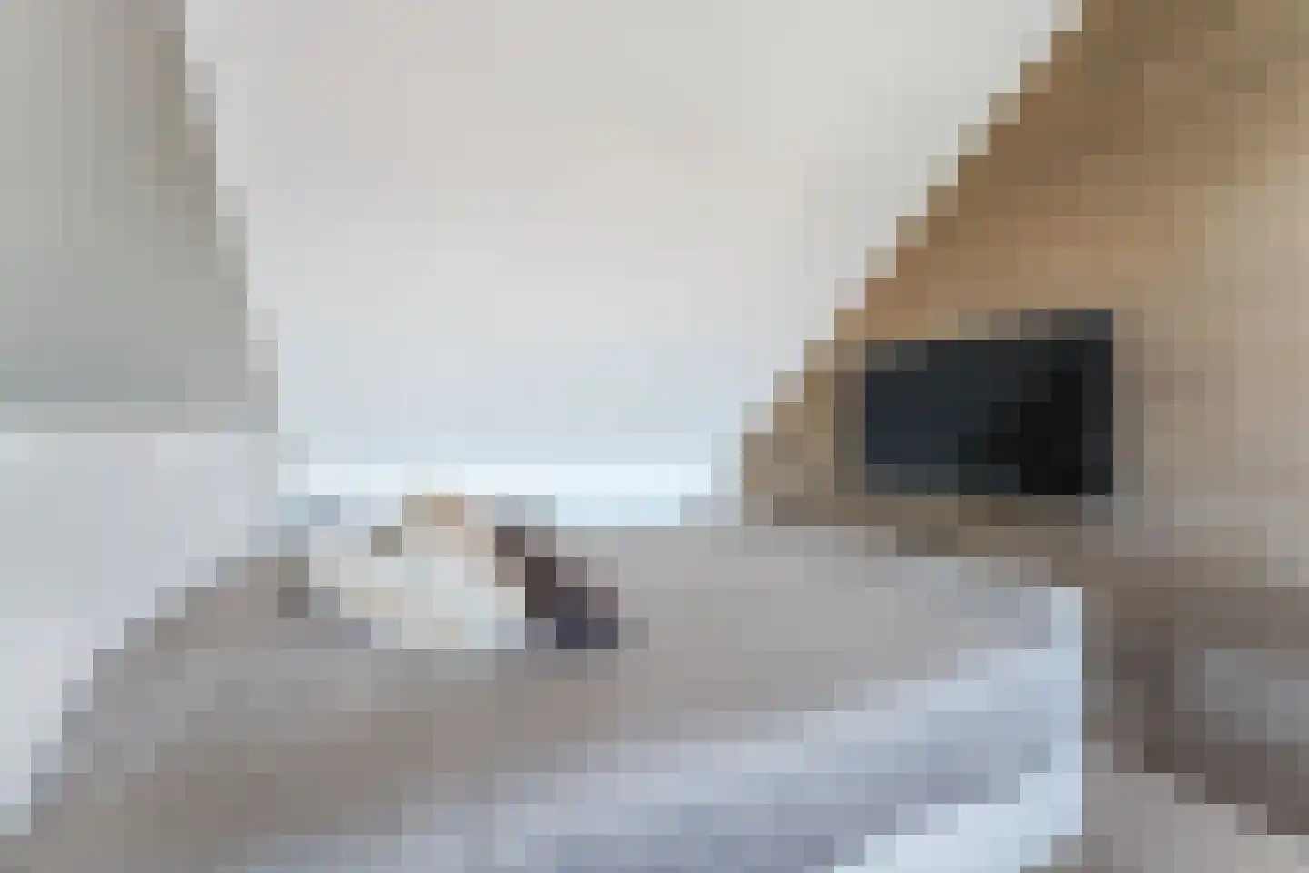 Kweektuinlaan 79 Vleuten thumbnail 53