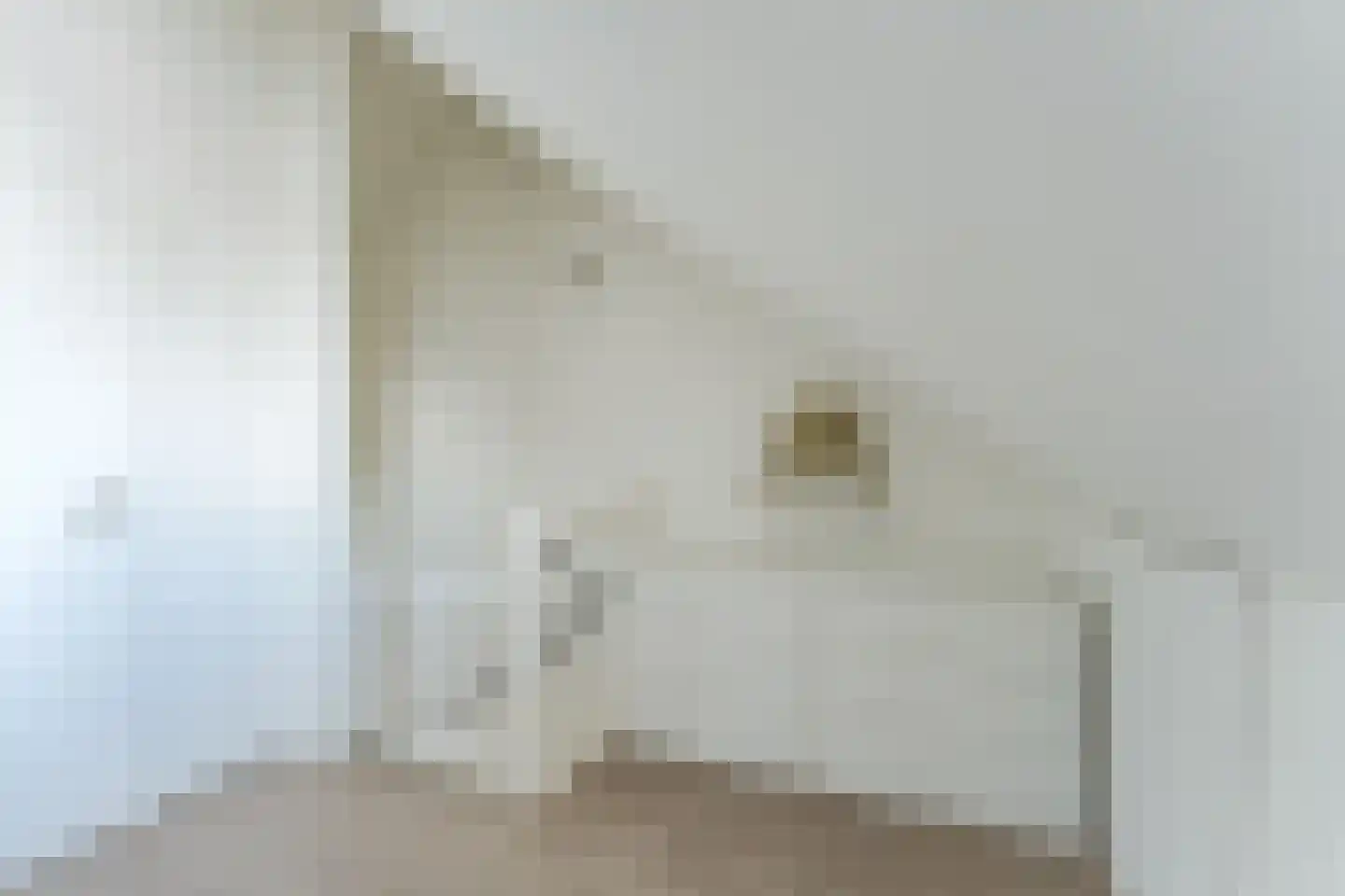 Kweektuinlaan 79 Vleuten thumbnail 57