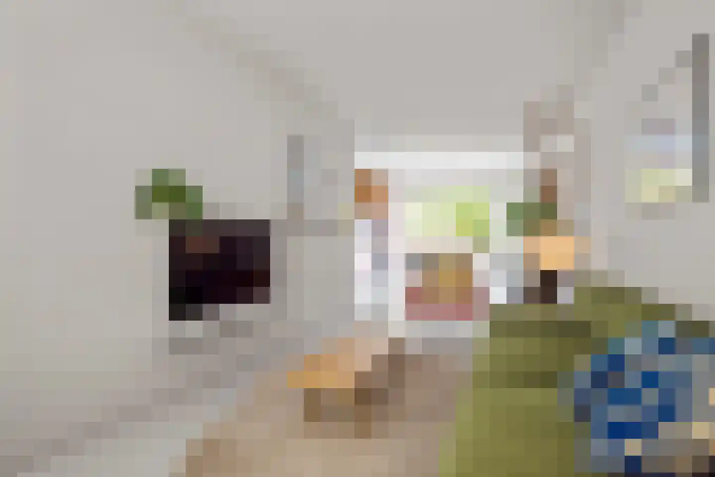 Kweektuinstraat 38 Haarlem thumbnail 10