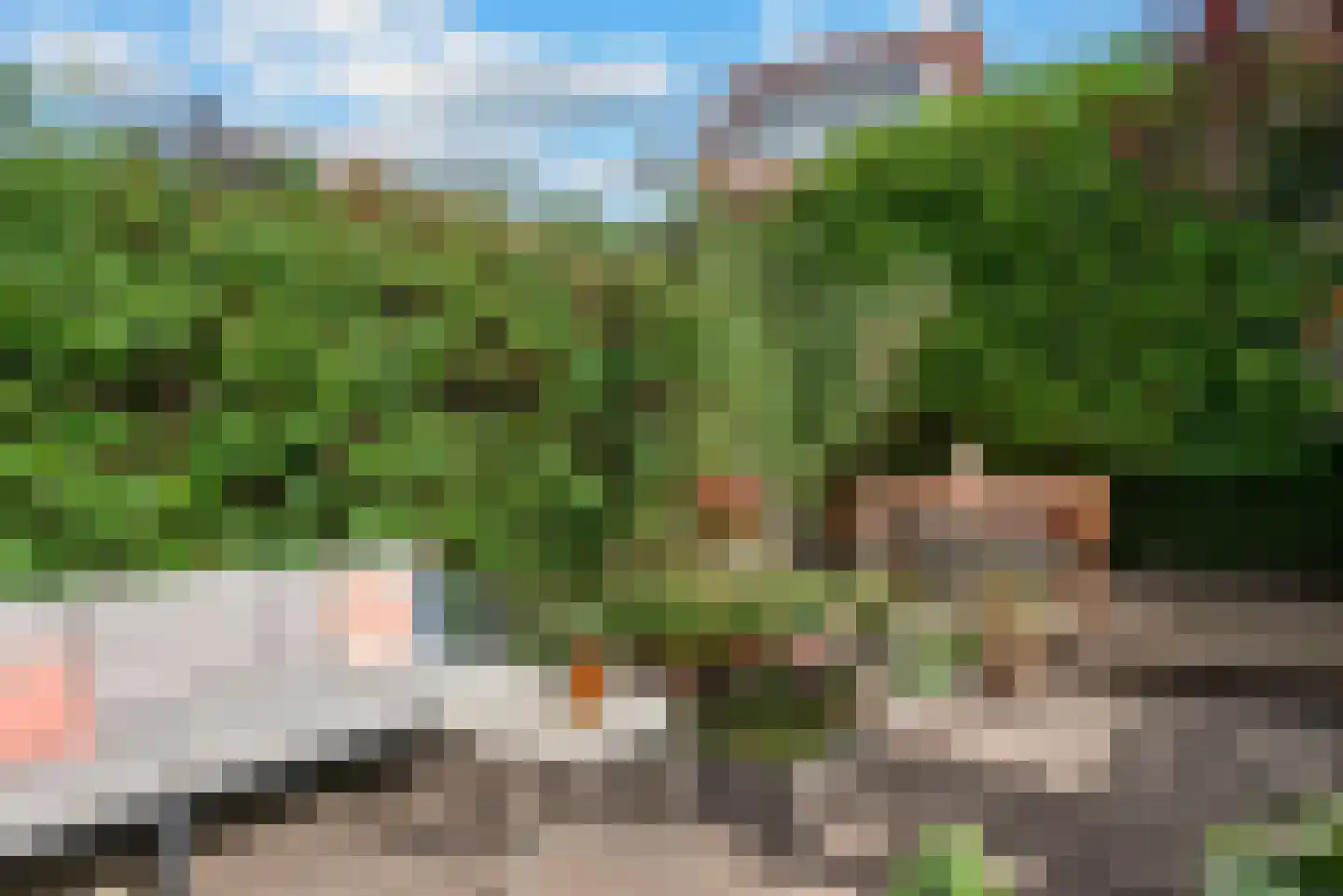 Kweektuinstraat 38 Haarlem thumbnail 20