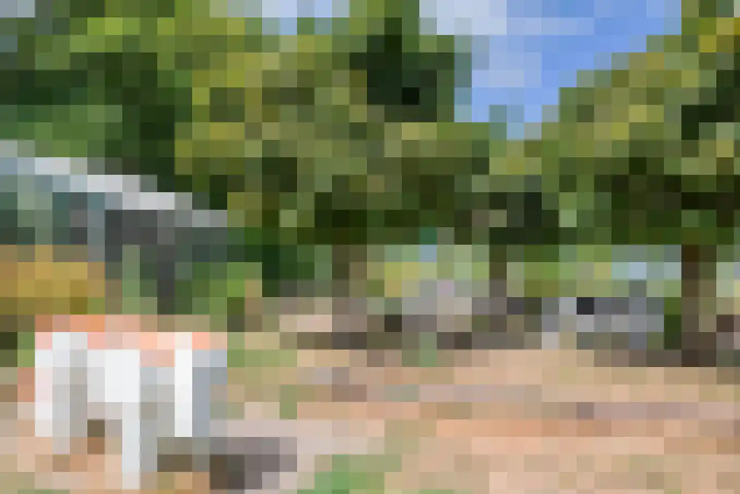 Kweektuinstraat 38 Haarlem thumbnail 50