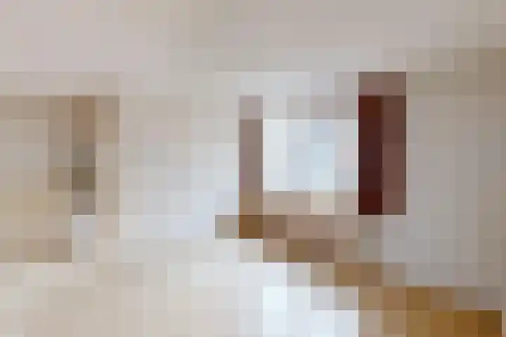 Kweekwal 10 Enkhuizen thumbnail 12