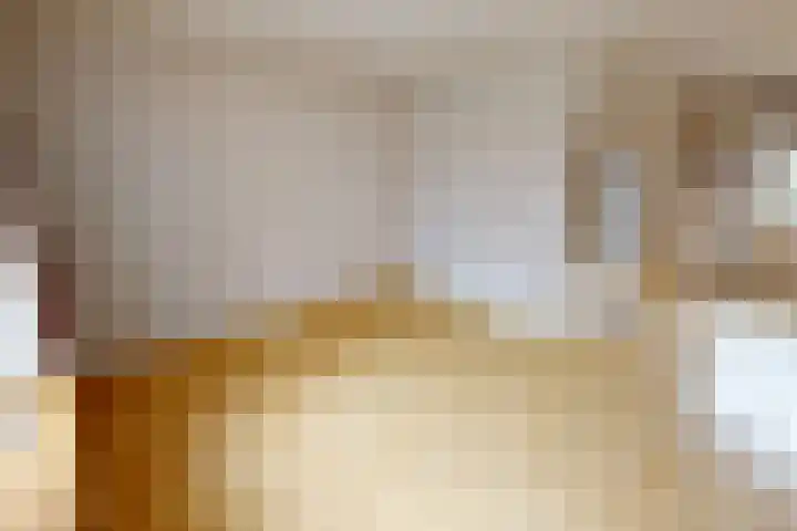 Kweekwal 10 Enkhuizen thumbnail 14