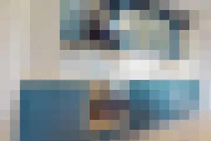 Kweekwal 10 Enkhuizen thumbnail 17