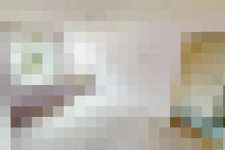 Kweekwal 10 Enkhuizen thumbnail 30