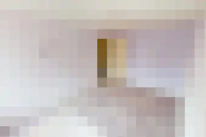 Kweekwal 10 Enkhuizen thumbnail 31