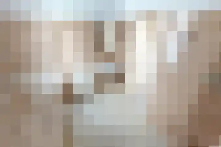 Kweekwal 10 Enkhuizen thumbnail 37
