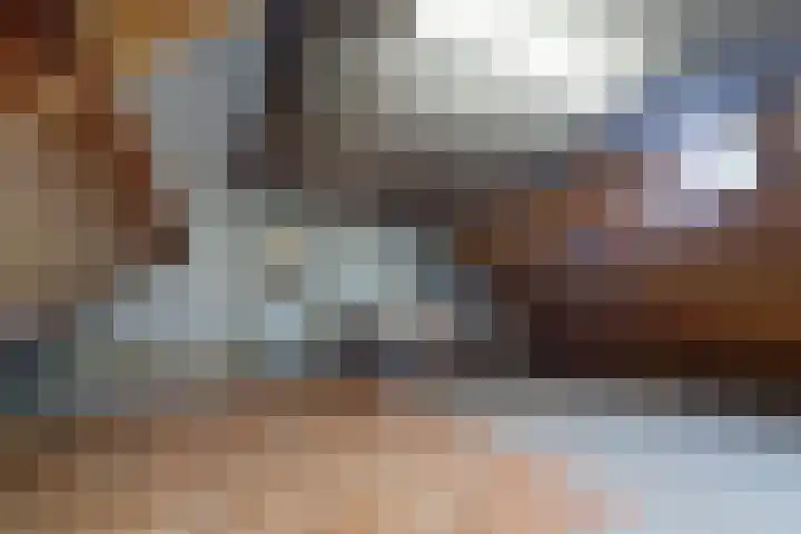 Kweekwal 10 Enkhuizen thumbnail 41