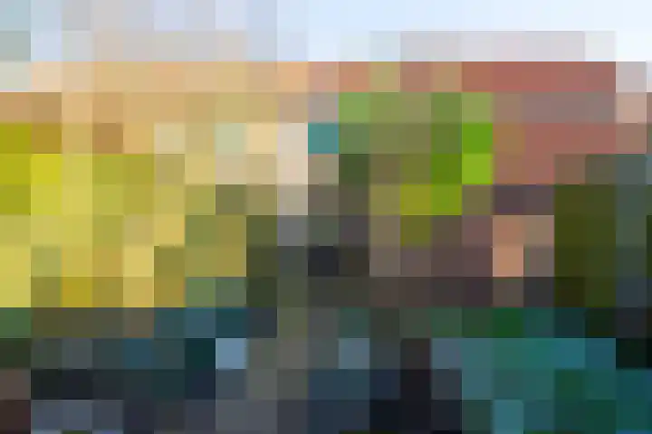 Kweekwal 10 Enkhuizen thumbnail 44