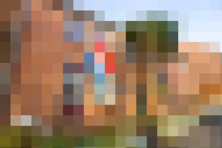 Kweekwal 10 Enkhuizen thumbnail 5