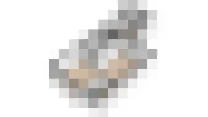 Kweekwal 10 Enkhuizen thumbnail 50