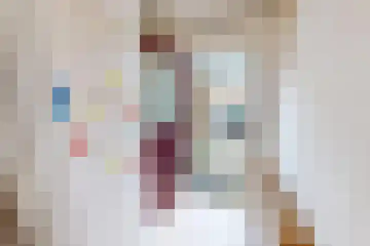 Kweekwal 10 Enkhuizen thumbnail 6