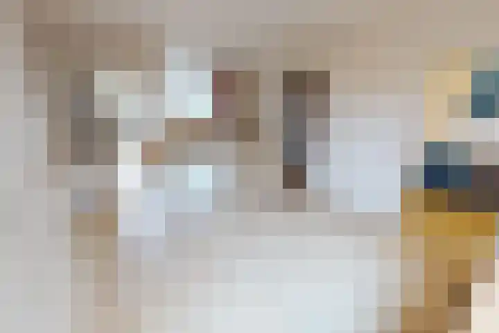 Kweekwal 10 Enkhuizen thumbnail 7