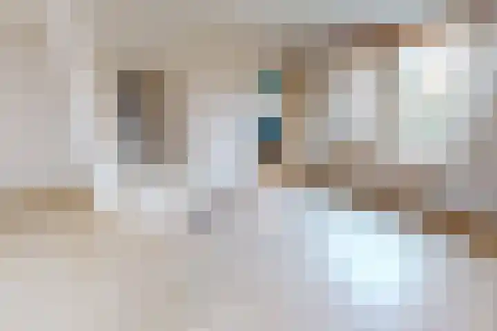 Kweekwal 10 Enkhuizen thumbnail 8