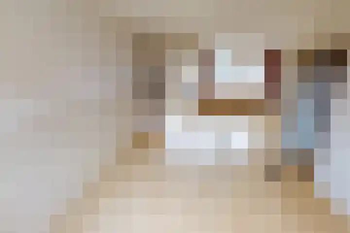 Kweekwal 10 Enkhuizen thumbnail 9