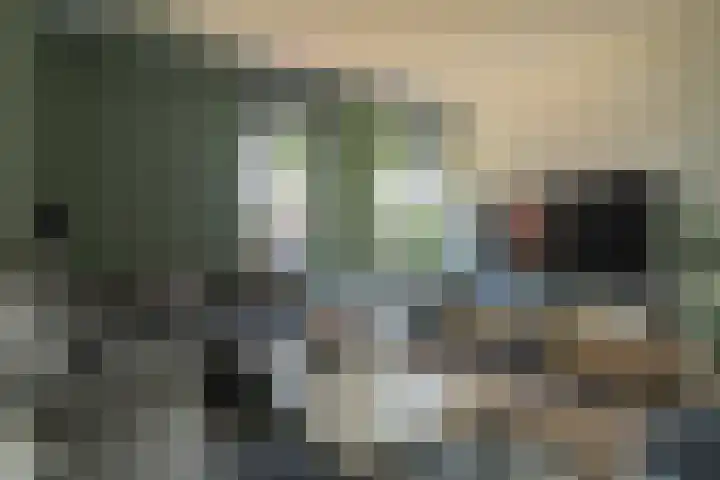 Kweekwal 22 Enkhuizen thumbnail 11