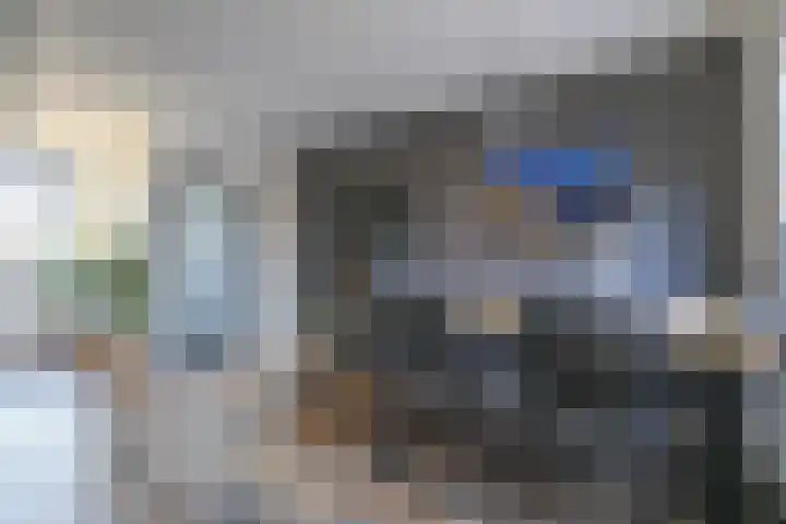 Kweekwal 22 Enkhuizen thumbnail 12