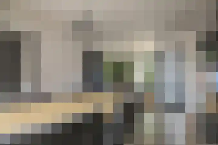 Kweekwal 22 Enkhuizen thumbnail 13